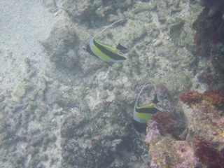 c0193396_10241262.jpg