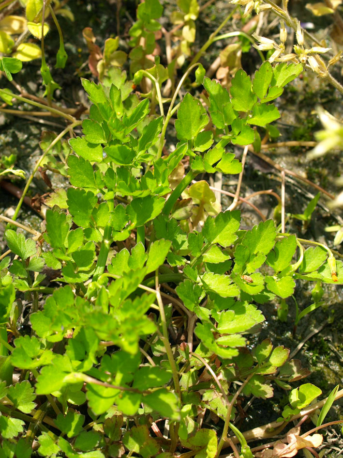 d0163696_11211720.jpg