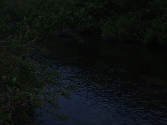 f0213796_14134339.jpg