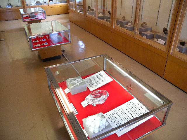 a0199297_2014098.jpg
