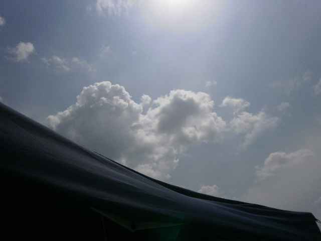 a0053598_21135332.jpg