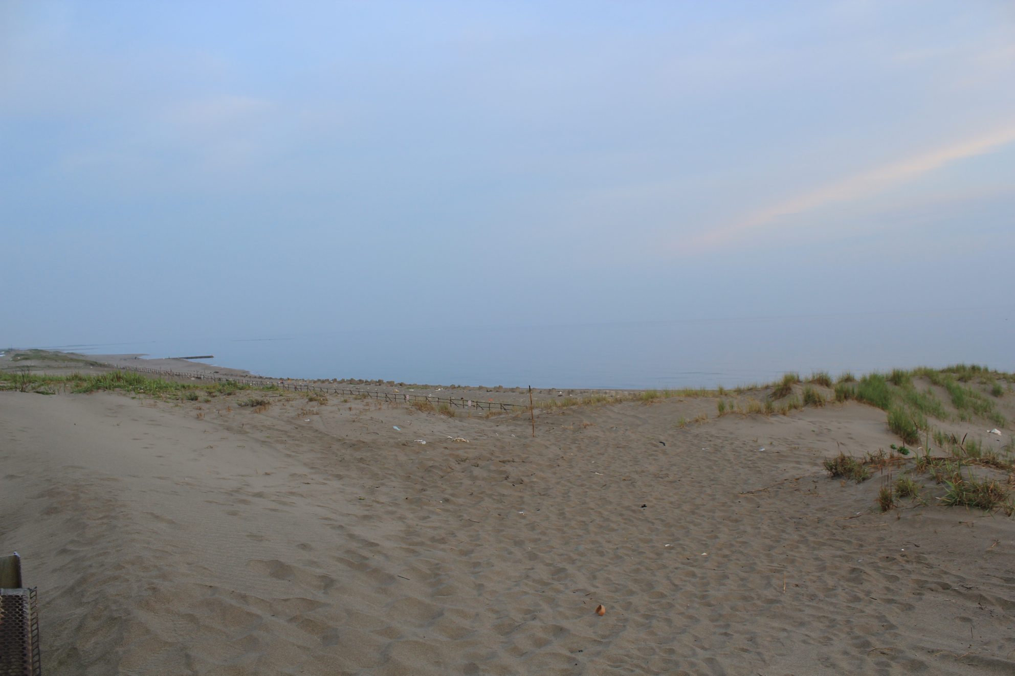 a0264604_719946.jpg