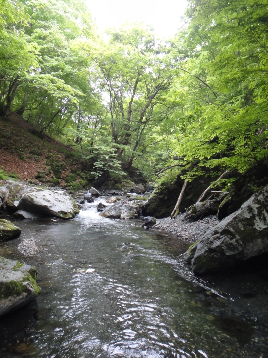 b0172805_9515099.jpg