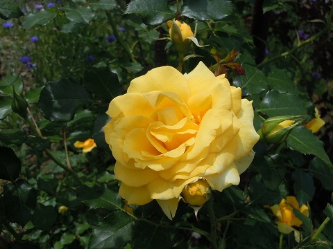 c0117007_1956536.jpg
