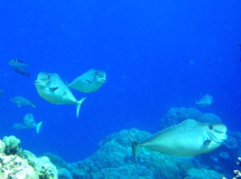 a0043520_233196.jpg