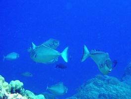 a0043520_2334769.jpg