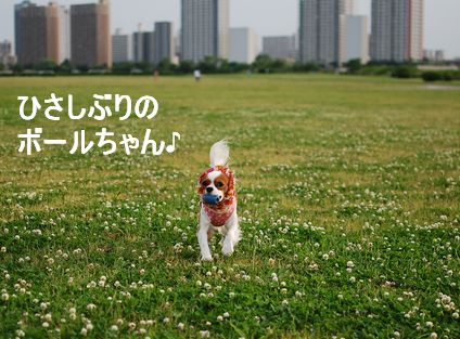 f0214121_2335293.jpg
