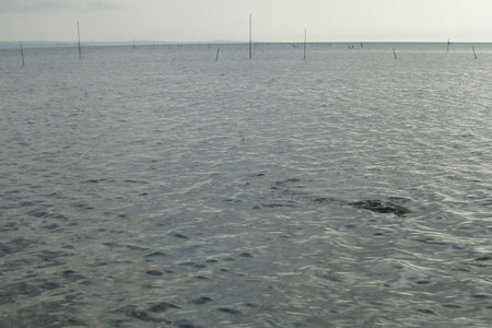 a0050227_21554344.jpg