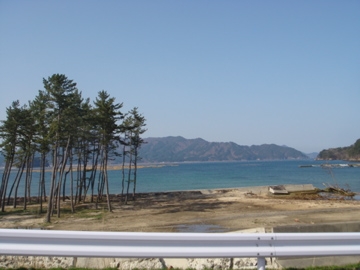 e0105130_2382152.jpg