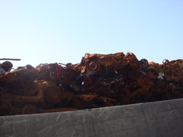 e0105130_239509.jpg