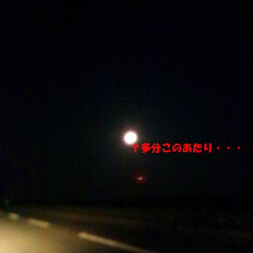 b0170134_16592555.jpg