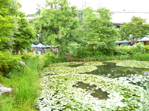 a0255040_10182158.jpg