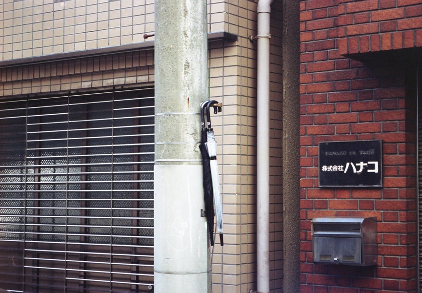 d0089742_135555.jpg