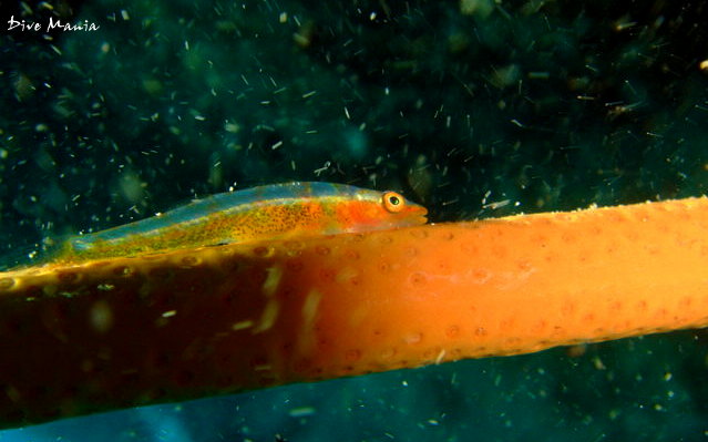 b0236647_1119675.jpg
