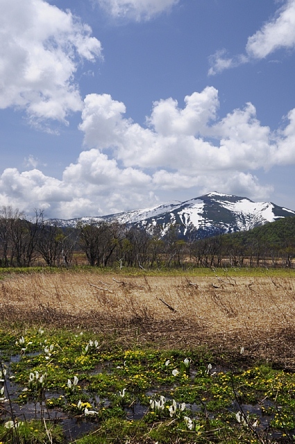 b0122448_20521593.jpg