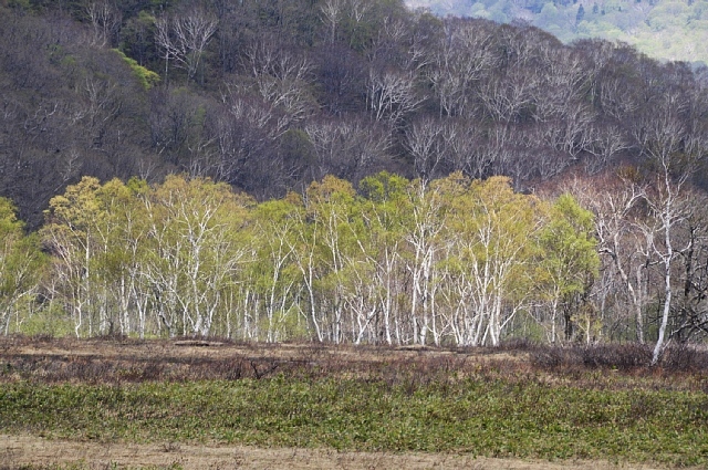 b0122448_20551158.jpg