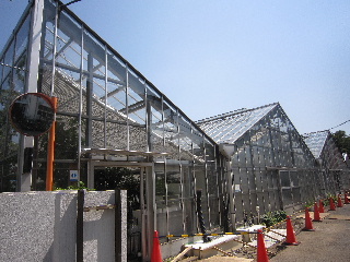 d0063149_22424084.jpg