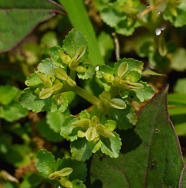 d0091754_2180100.jpg