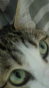 c0052756_005526.jpg