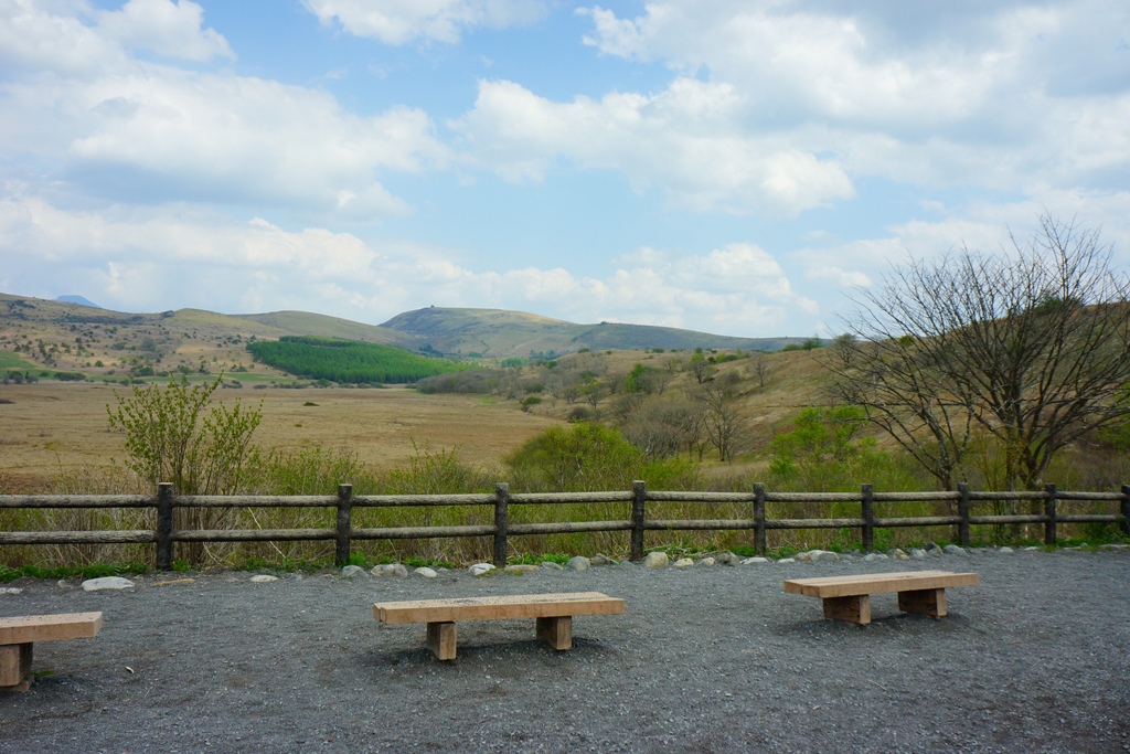 e0223456_8171912.jpg