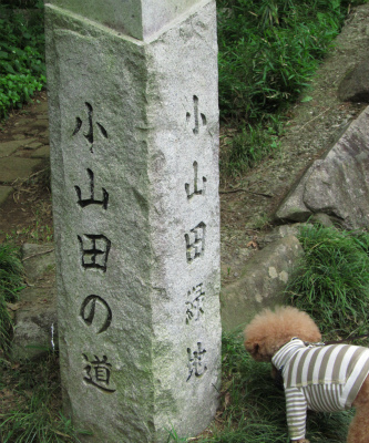 e0129958_17243679.jpg