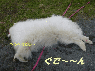 e0176159_10545890.gif