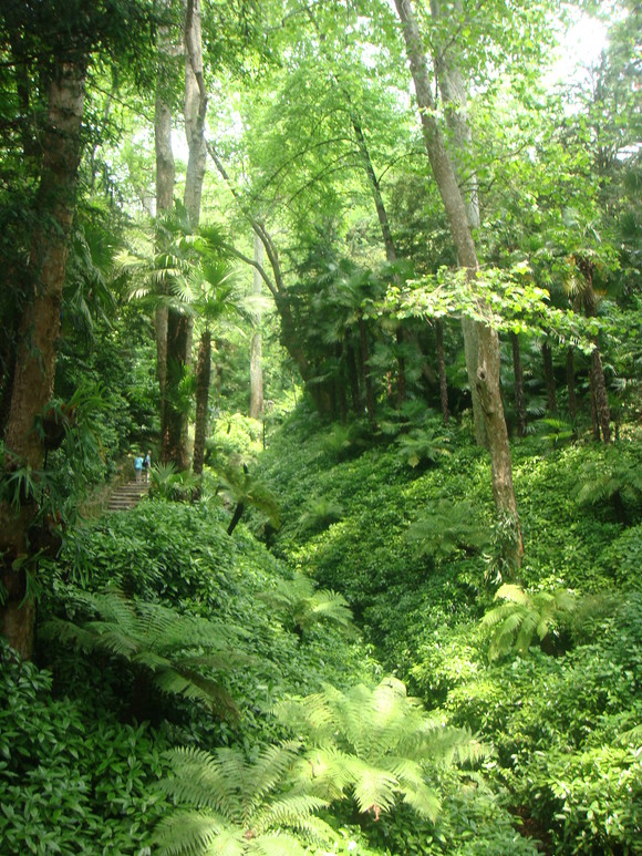 b0159560_11103623.jpg
