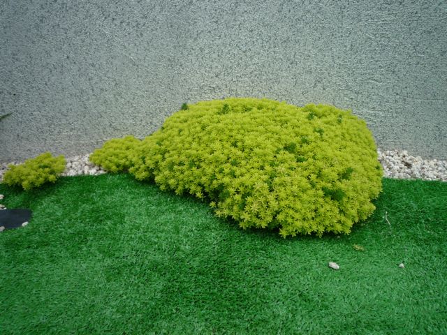 f0177261_2144365.jpg