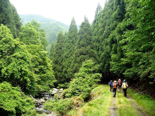 b0044663_1530525.jpg