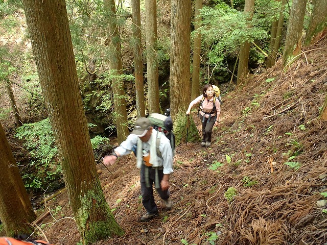 b0044663_1554593.jpg