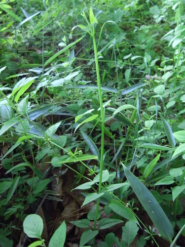 c0166668_21381039.jpg