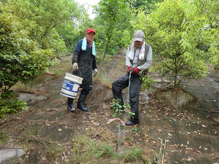 e0175370_18111271.jpg