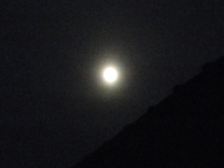 d0109373_7512989.jpg
