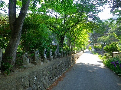 f0182173_1450581.jpg