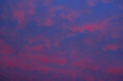 f0182173_19264176.jpg