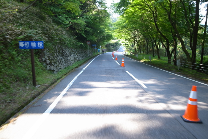 a0257375_055326.jpg