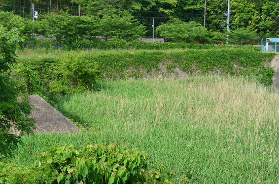 a0153577_935579.jpg