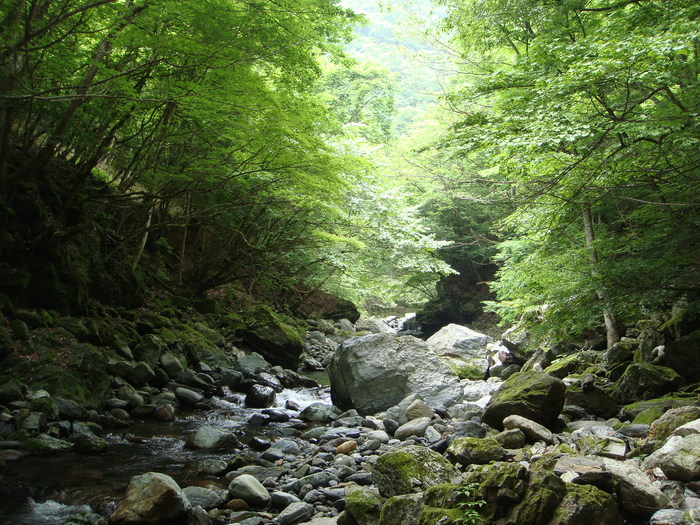 c0136486_22205580.jpg