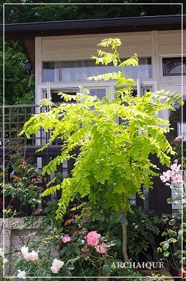 c0207890_1235235.jpg