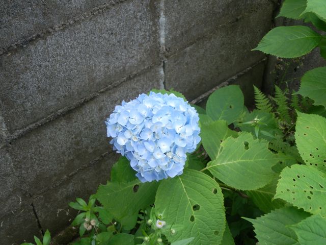 f0130894_20375297.jpg