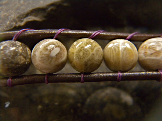 a0199297_1924172.jpg