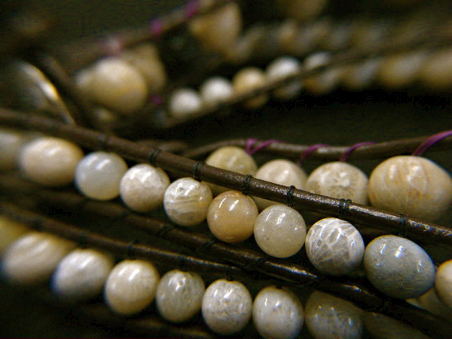 a0199297_19312862.jpg