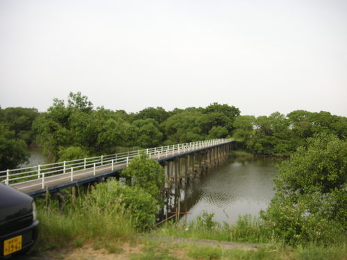 d0115997_2225146.jpg