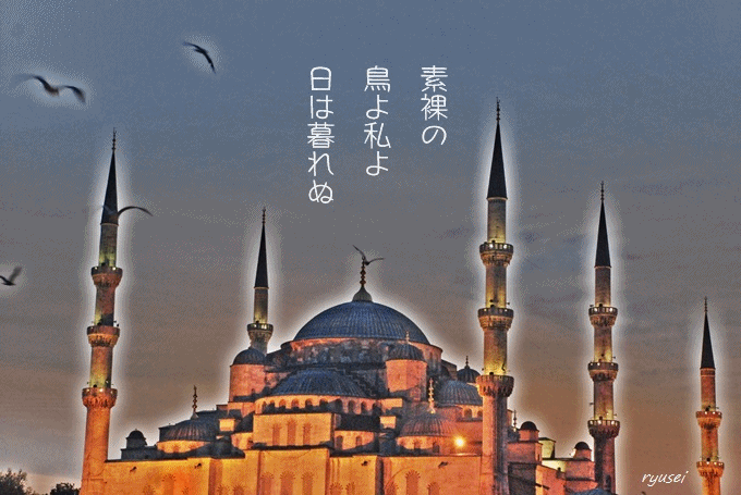 f0053297_11404366.gif