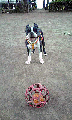 d0070702_10315876.jpg