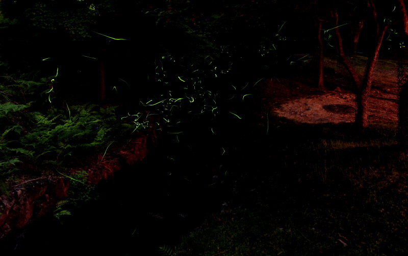 c0043403_2242550.jpg