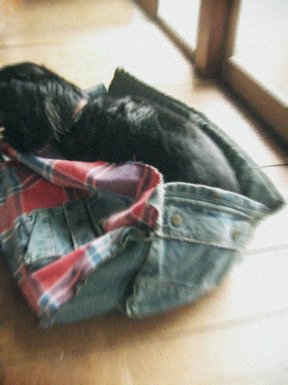 d0077603_1822821.jpg