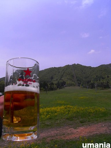 b0061004_121447.jpg