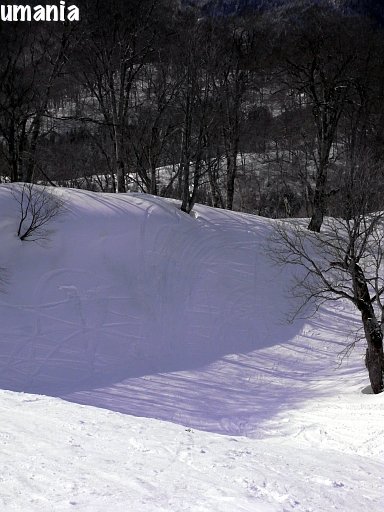 b0061004_850013.jpg