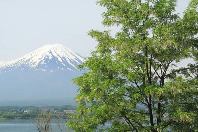 a0188405_2132715.jpg